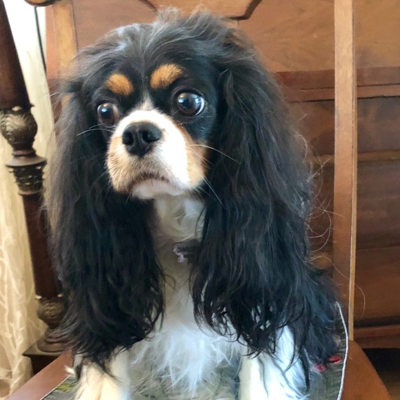 Meet the Posher, Melissa! - Picture 2 of 2